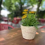Bierhotel Loncium & Privatbrauerei 3*