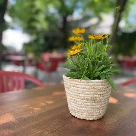 Bierhotel Loncium&privatbrauerei 3*