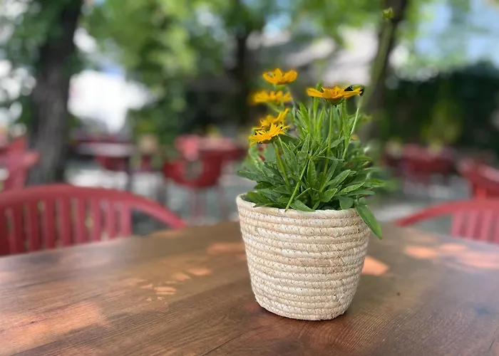 Bierhotel Loncium & Privatbrauerei 3*